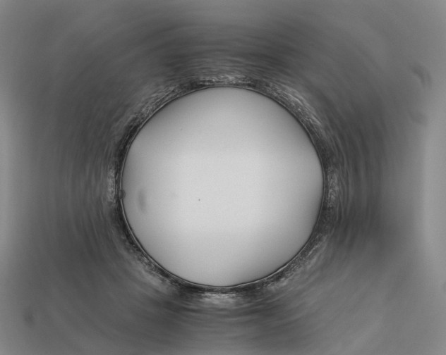 X0000113090457200909251014