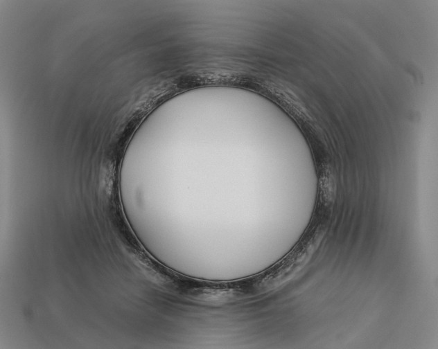 X0000113090458200909251014