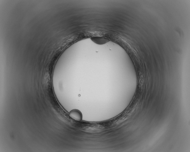 X0000113090459200909251014