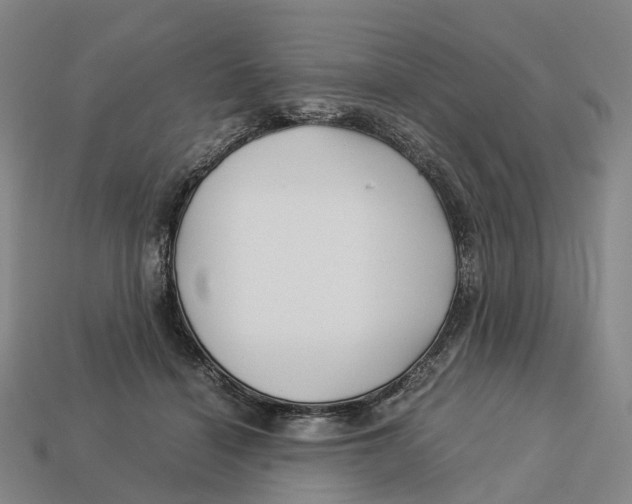 X0000113090460200909251014