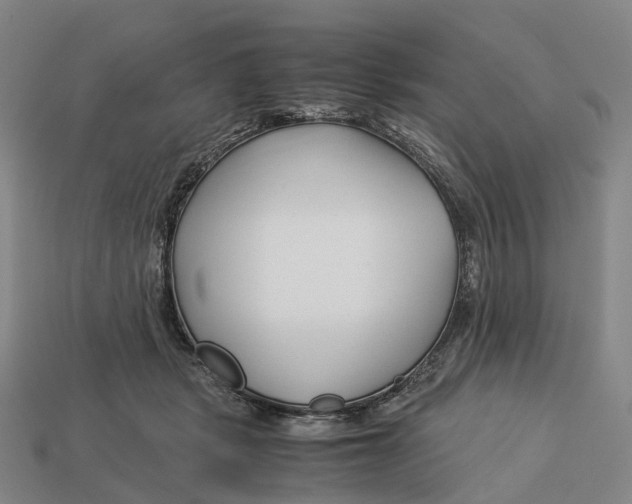 X0000113090461200909251014