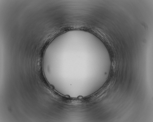 X0000113090462200909251014