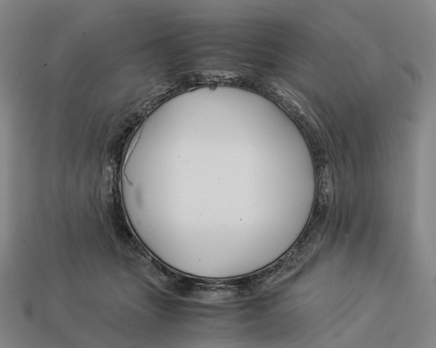 X0000113090463200909251014