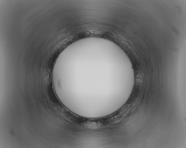 X0000113090464200909251014