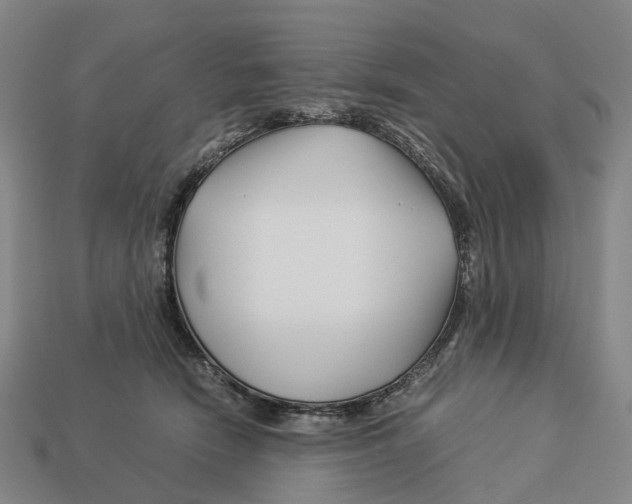 X0000113090466200909251014