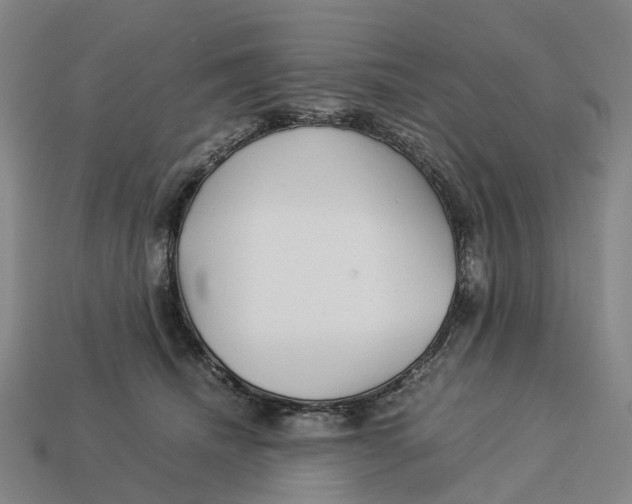 X0000113090468200909251014