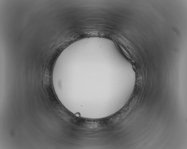 X0000113090469200909251014