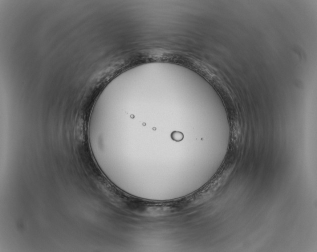 X0000113090470200909251014
