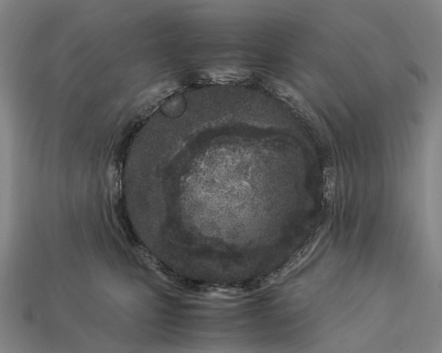 X0000113090471200909251014