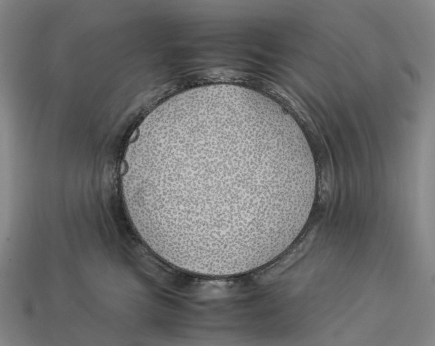 X0000113090473200909251014
