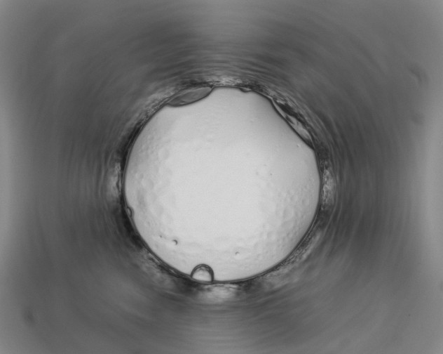 X0000113090474200909251014