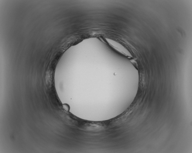 X0000113090475200909251014