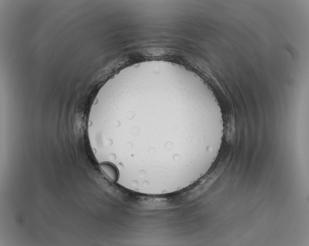 X0000113090476200909251014