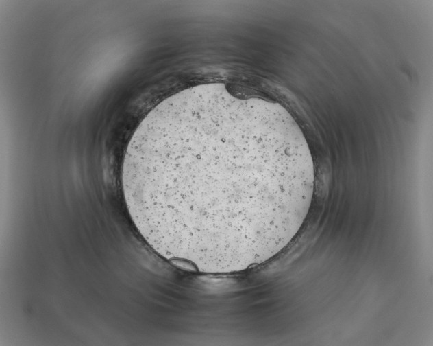 X0000113090477200909251014