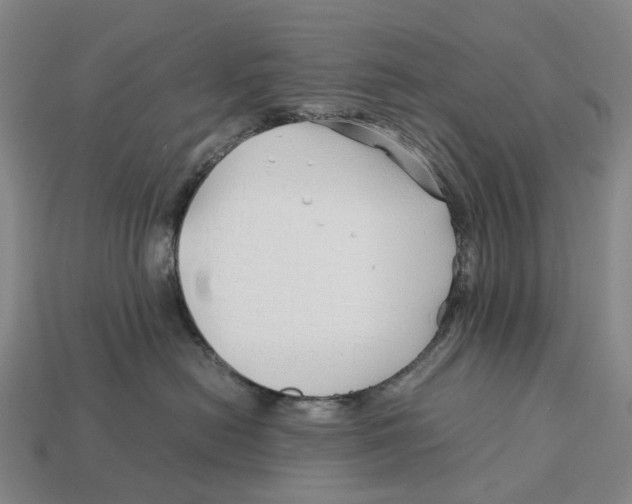 X0000113090478200909251014