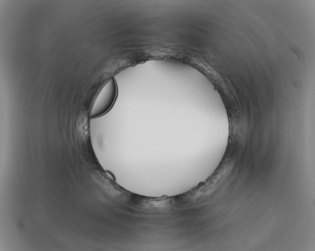 X0000113090479200909251014