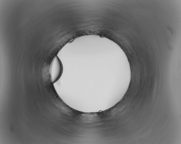 X0000113090480200909251014