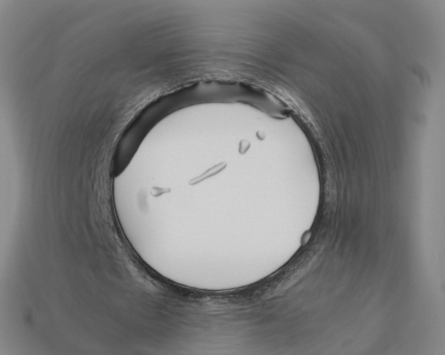 X0000113090481200909251013