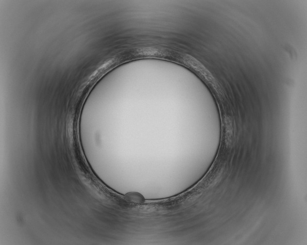 X0000113090482200909251013