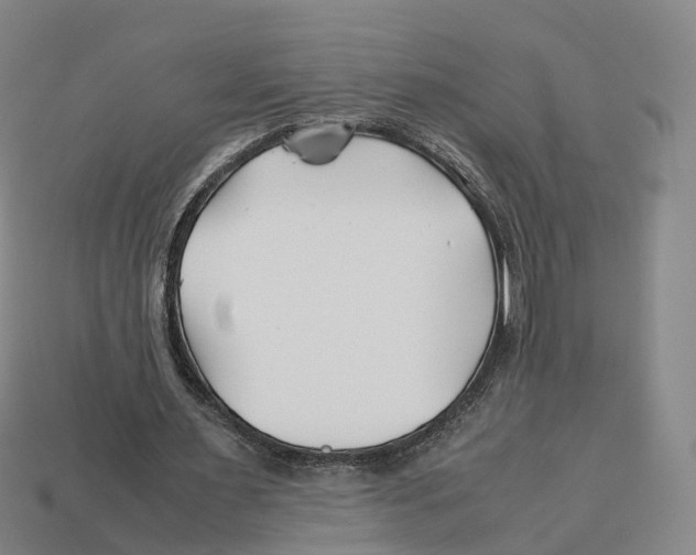 X0000113090483200909251013