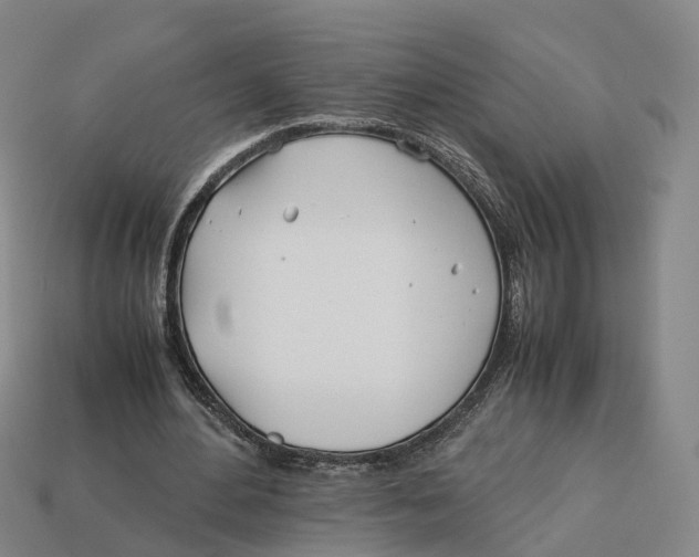X0000113090484200909251013