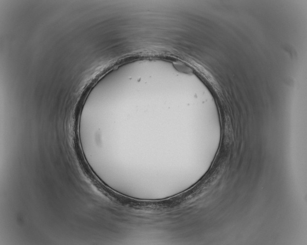 X0000113090485200909251013