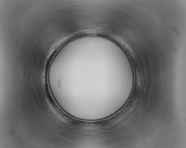 X0000113090486200909251013