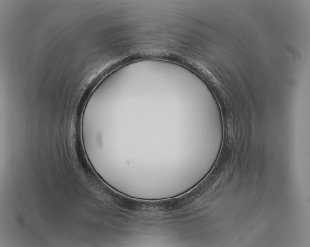 X0000113090487200909251013
