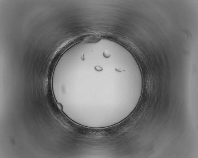 X0000113090488200909251013
