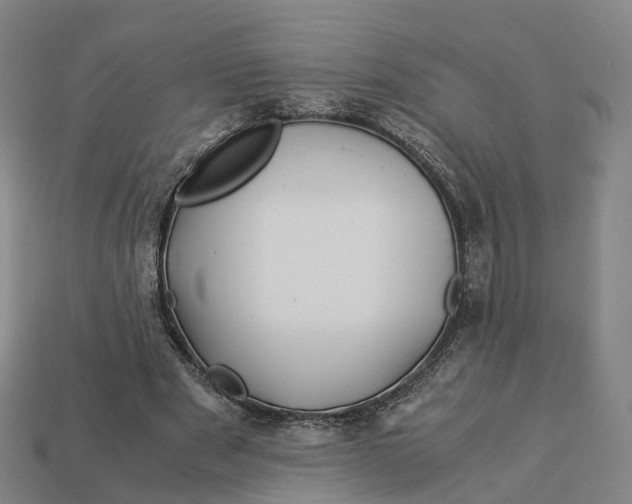 X0000113090489200909251013