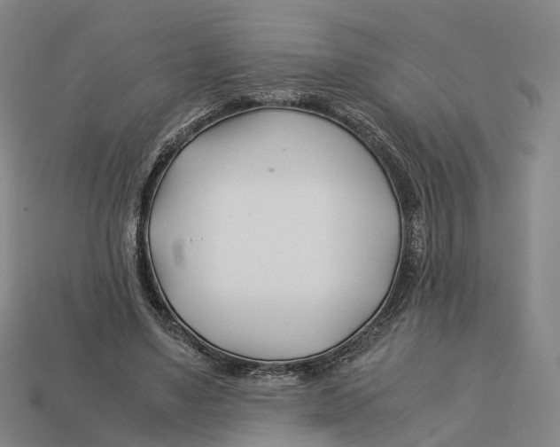 X0000113090491200909251013