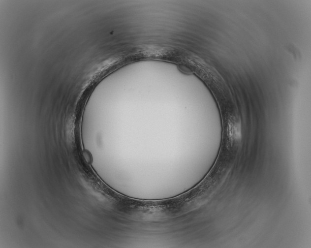 X0000113090492200909251013