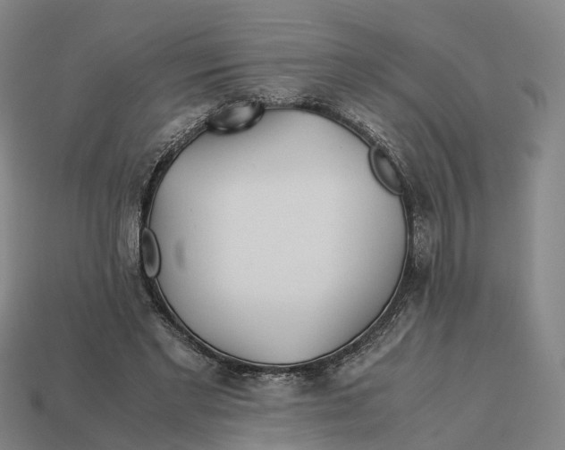 X0000113090493200909251013