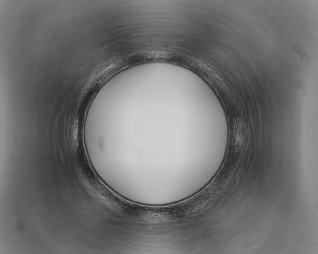 X0000113090494200909251013