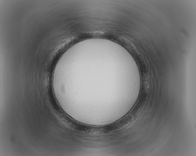 X0000113090495200909251013