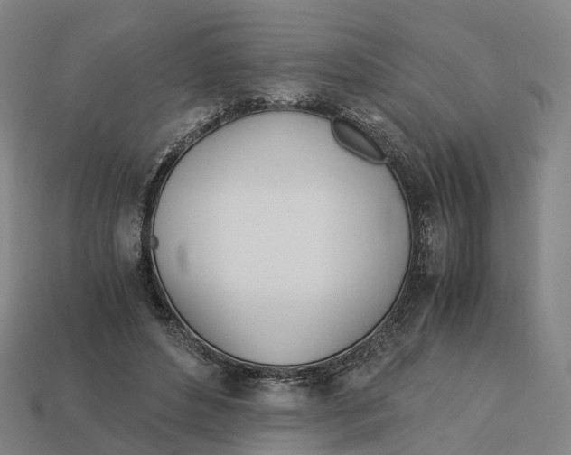 X0000113090496200909251013