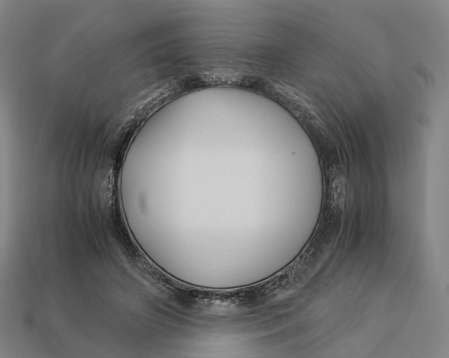 X0000113090498200909251013