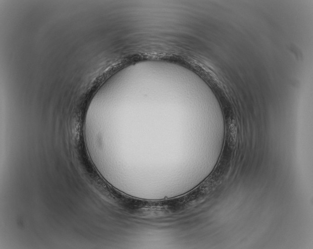 X0000113090499200909251013