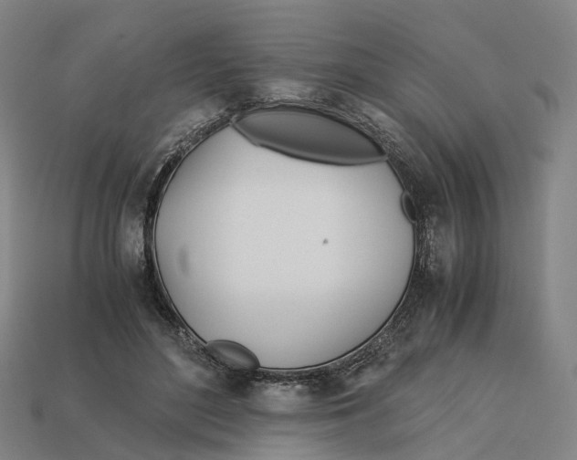 X0000113090500200909251013