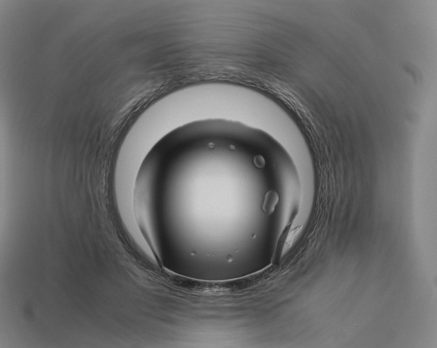 X0000113090501200909251013