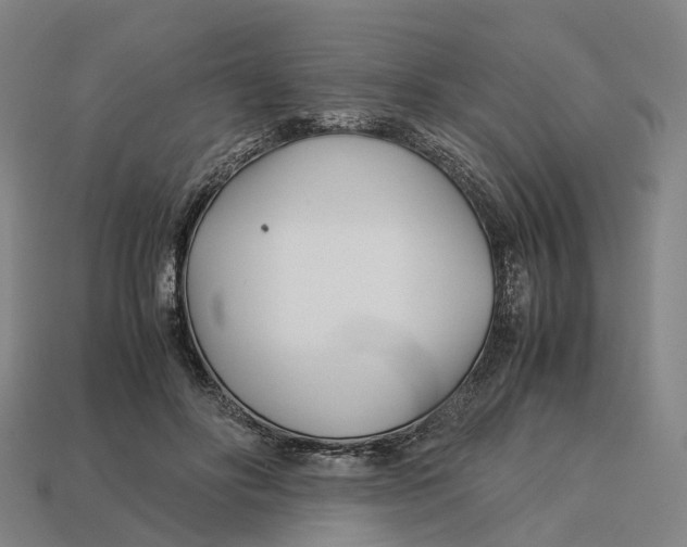 X0000113090502200909251013