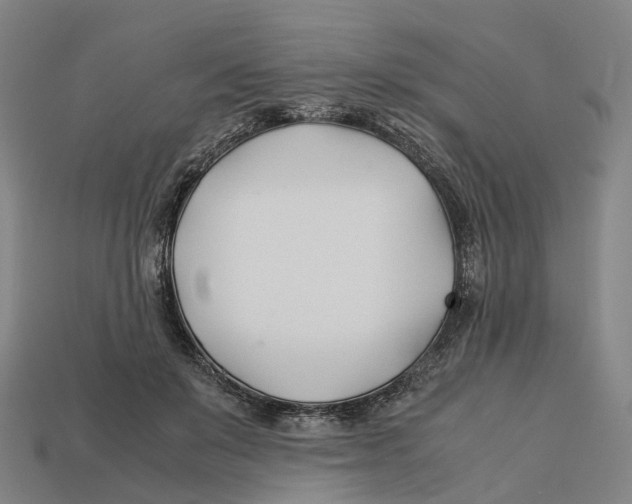 X0000113090503200909251013