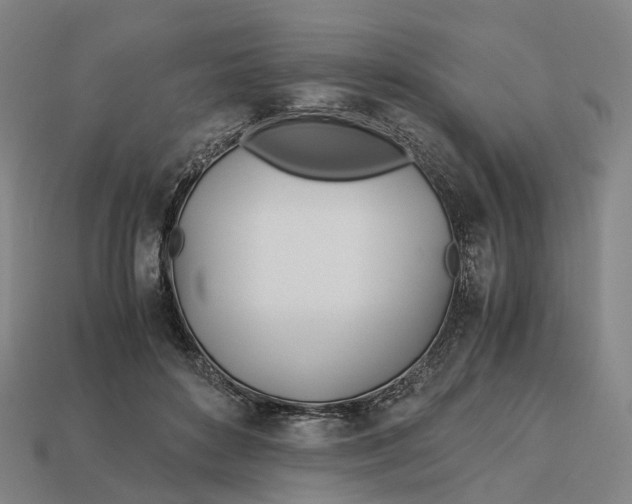 X0000113090504200909251013