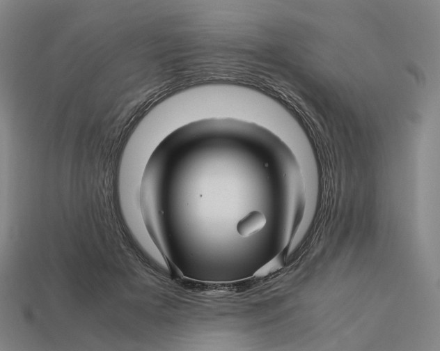 X0000113090505200909251013