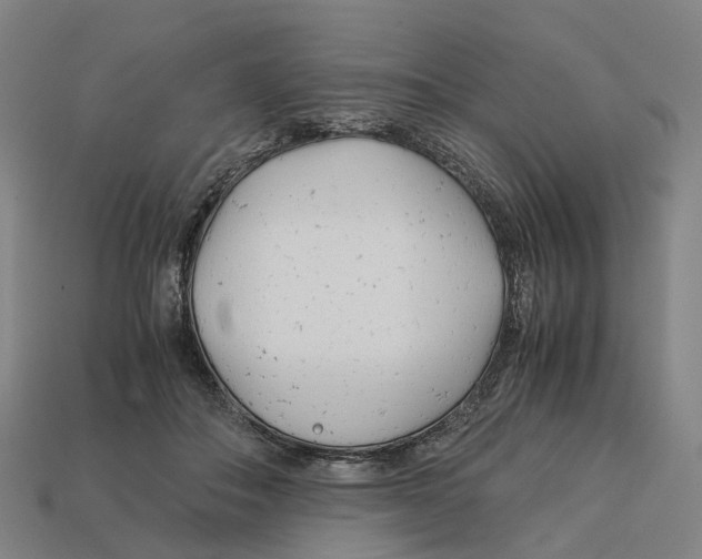 X0000113090506200909251013