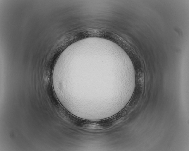 X0000113090507200909251013