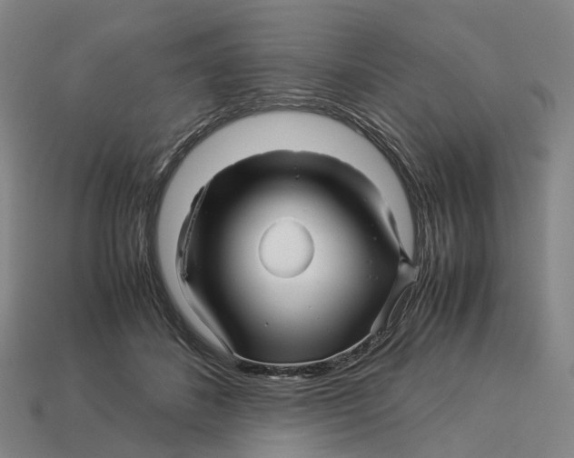 X0000113090508200909251013