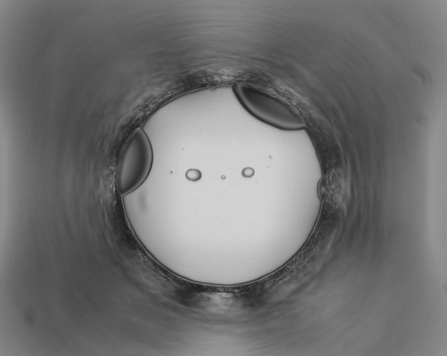 X0000113090509200909251013
