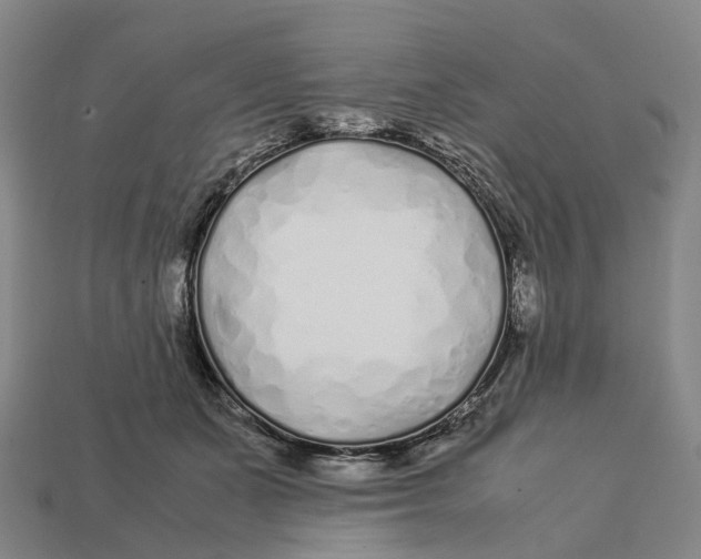 X0000113090511200909251013