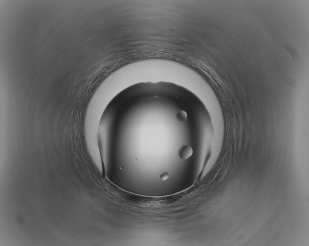 X0000113090513200909251013